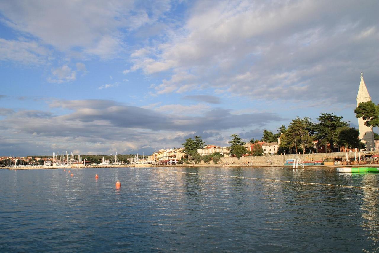 Apartments Marko Novigrad Novigrad Istria Dış mekan fotoğraf